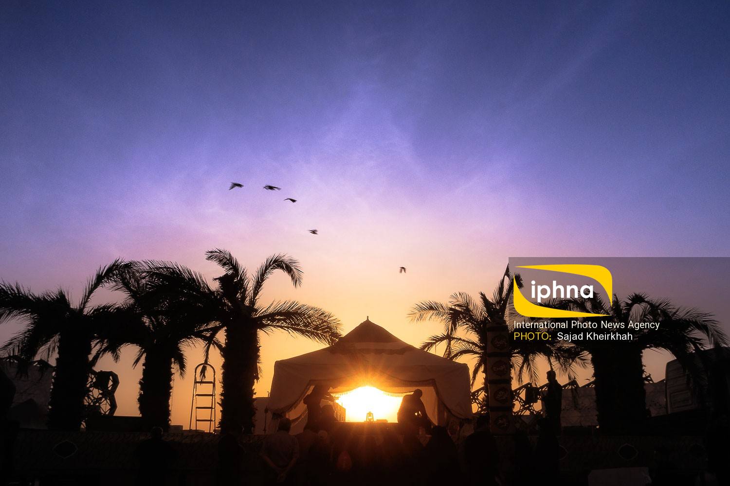 تصویر منتخب