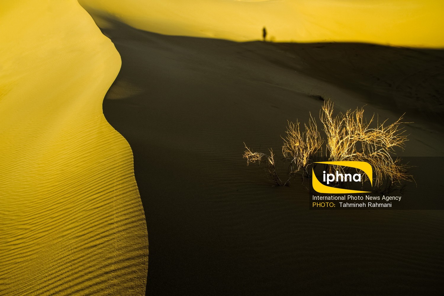 تصویر منتخب