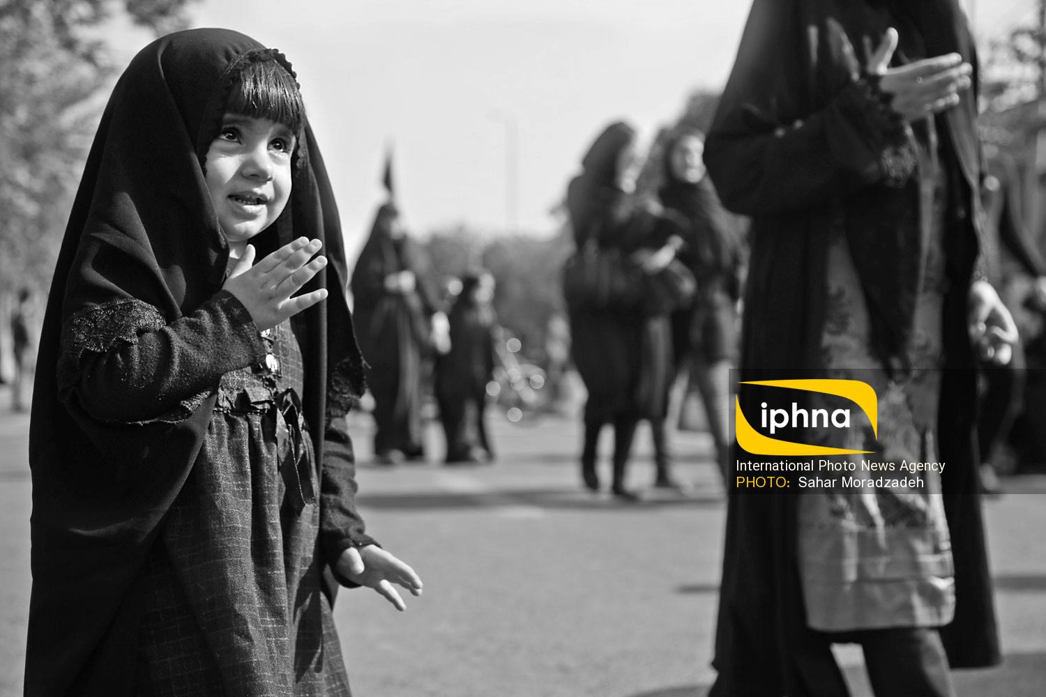 تصویر منتخب