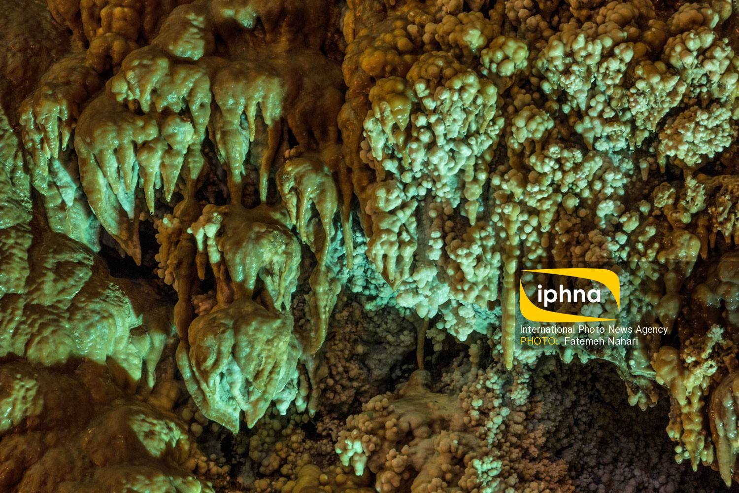 تصویر منتخب