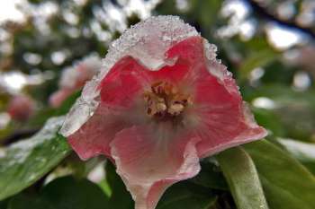 طبیعت روستای بوژان در شهرستان نیشابور استان خراسان رضوی